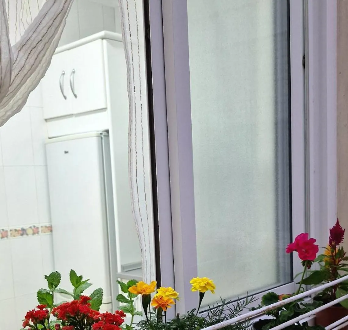 Apartamento Oroval Cruz Santa Cruz de Tenerife 0*,